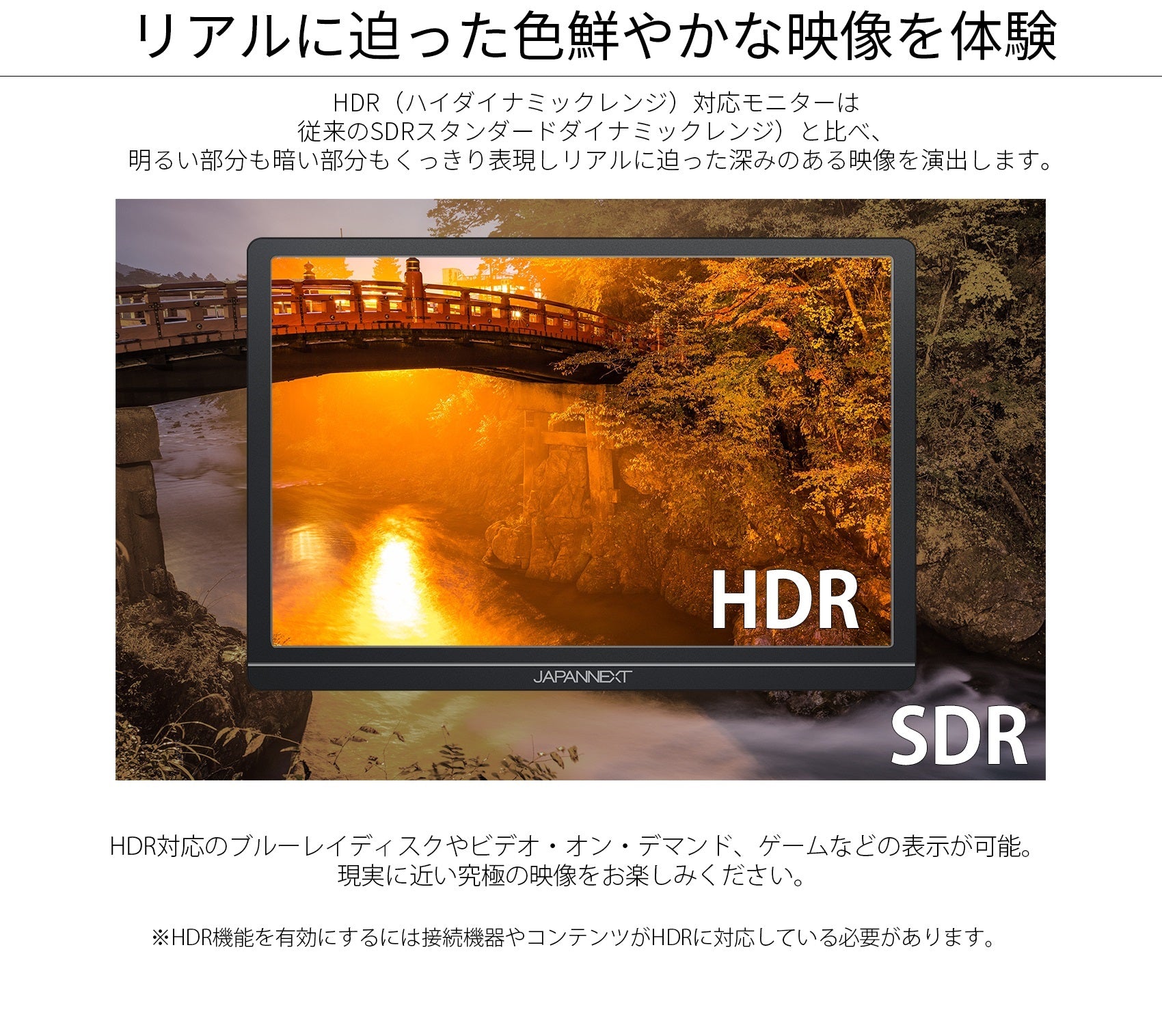 【生産完了】JN-MD-IPS1012HDR