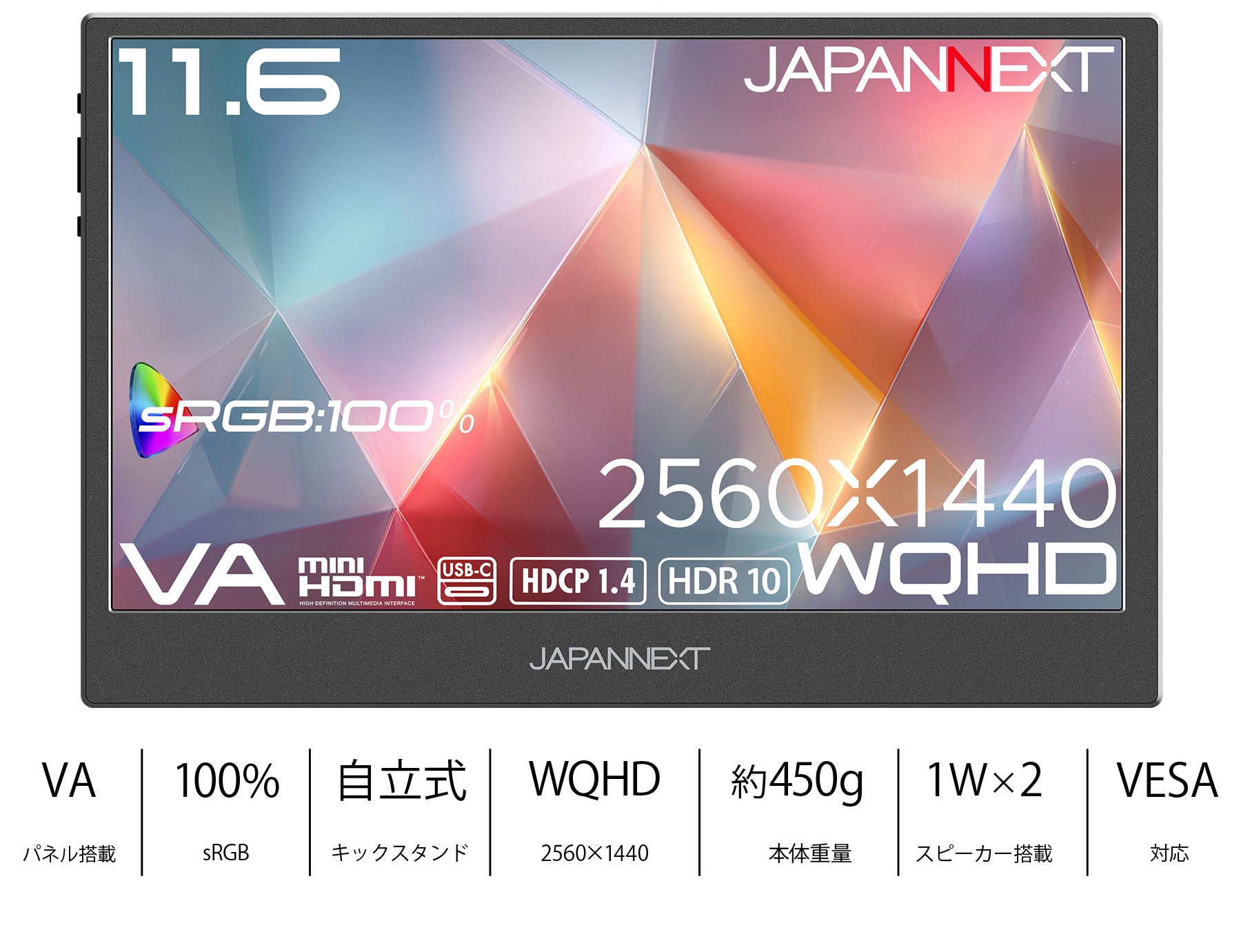 wan様　　オーダー専用ページ ECサイト限定】JAPANNEXT 11.6インチ VAパネル搭載 WQHD(2560×1440