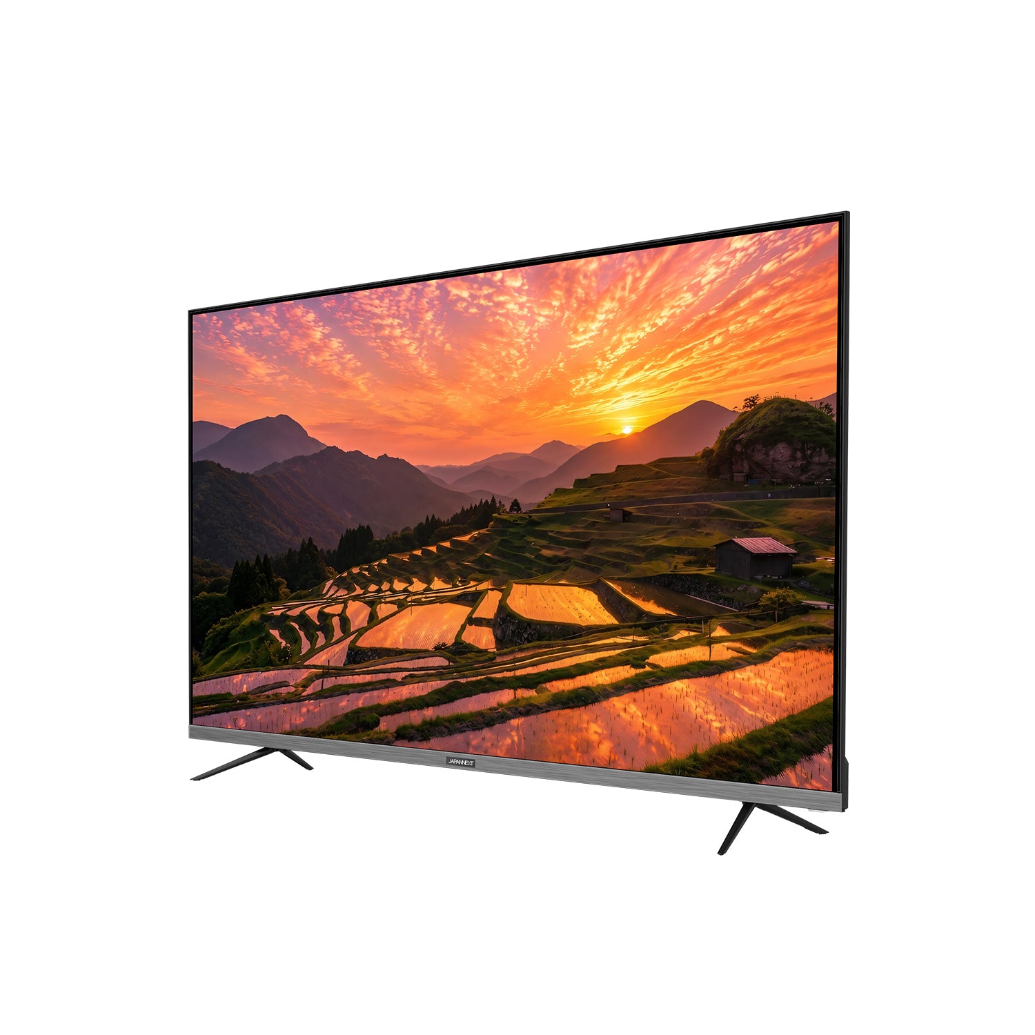 50's60'sENSENADA ギャバジャン42 いっぱい価格です‼️ 2年保証モデル】JAPANNEXT 50インチ VAパネル搭載 4K(3840×2160)解像度