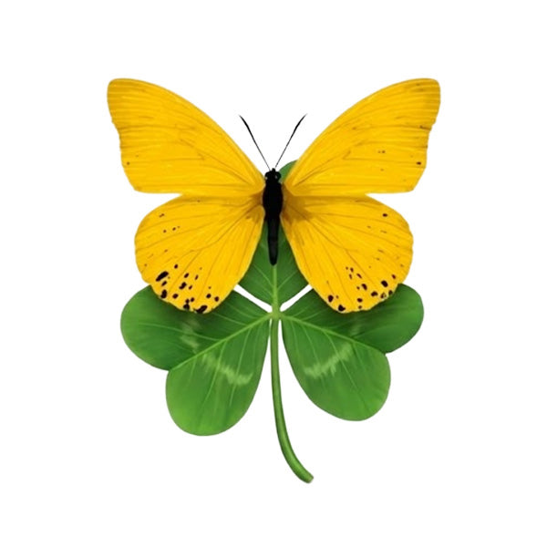 インクルーシブプログラム