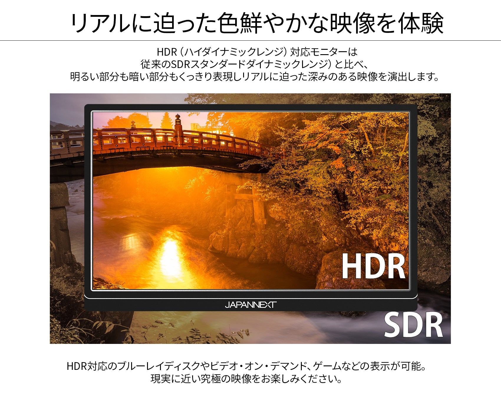 JAPANNEXT JN-MD-IPS1564FHDR 15.6型 フルHD(1920 x 1080) モバイル 